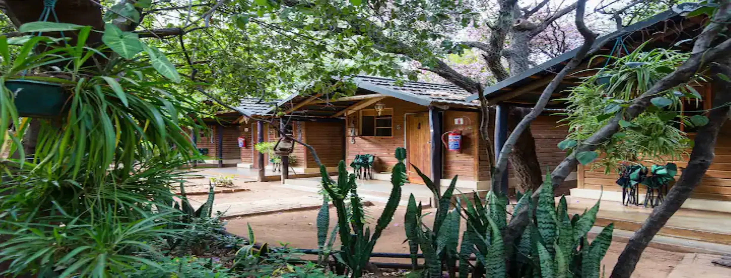 Image for Mokolodi Sanctuary